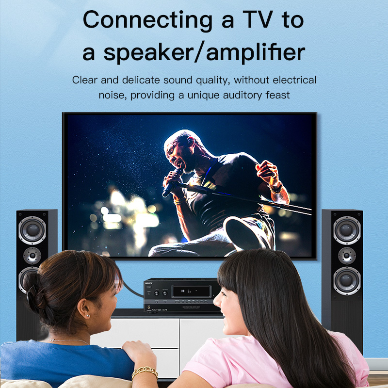 كابل RCA من CHOSEAL، كابل صوت  - مراجعة Home Cinema Sound System وسعره